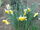 DSCN2432