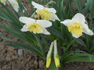 DSCN2433