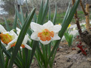DSCN2436