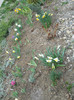 DSCN2438