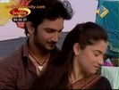 ArManav in Love [458]