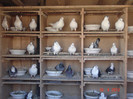 MATCA jucatori de galati