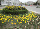 DSC04305