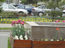 DSC04316