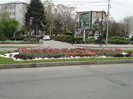 DSC04319