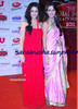the-global-indian-film-television-honors-2012_133187825015