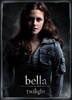 twilight_movie_poster_character_one