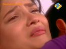 ArManav in Love [578]