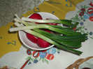 DSCF4095