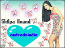 andradaindia