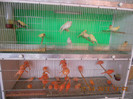 DSCN1208