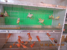 DSCN1210