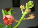 DSCN0384