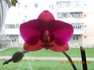 DSCN0437