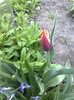 15042012