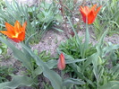 15042012