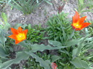 15042012
