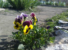 13042012
