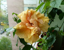 P1380382