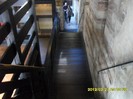 SDC12262