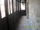 SDC12267