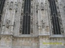 SDC17557