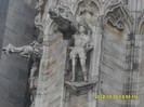SDC17564