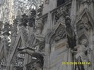 SDC17566