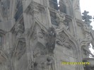 SDC17575
