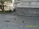 SDC17596