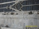 SDC17607