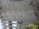 SDC17619