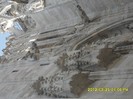 SDC17622