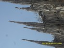 SDC17654
