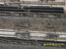 SDC17655