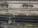 SDC17658