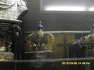 SDC17797