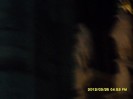 SDC17850