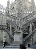 SDC17895