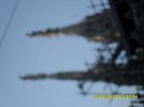 SDC17905