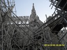 SDC17919