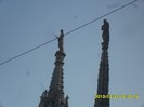 SDC17954