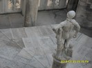SDC17955