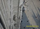 SDC17965