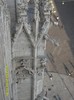 SDC17967