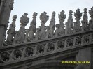 SDC17978