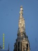SDC17982