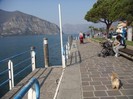 DSC07552