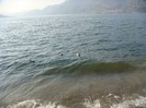 DSC07572