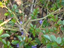 DSC07577